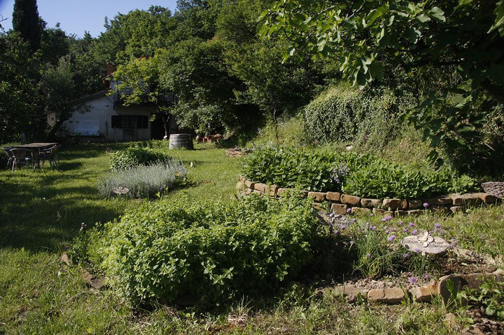 Farm Stay Domacija Butul Koper Room photo