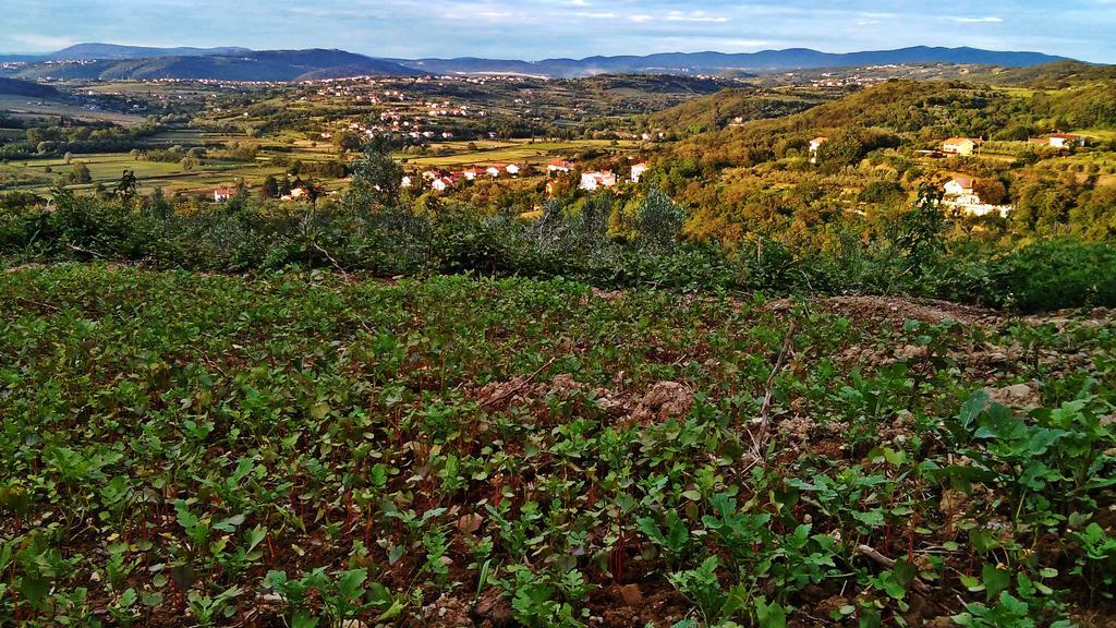 Farm Stay Domacija Butul Koper Exterior photo